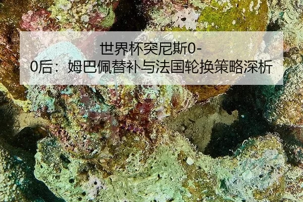 世界杯突尼斯0-0后：姆巴佩替补与法国轮换策略深析