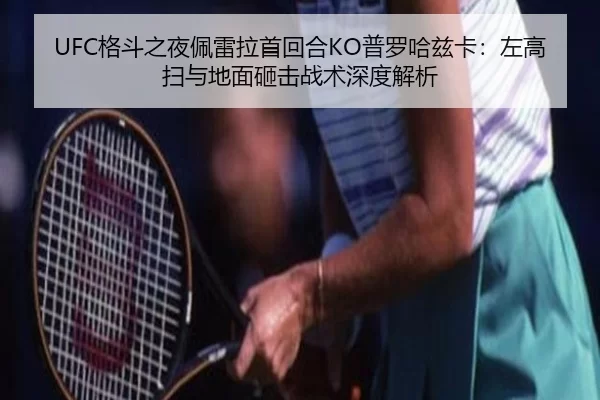 ge-dou-zhi-ye-pei-lei-la-shou-hui-he-pu-luo-ha-zi-ka-zuo-gao-sao-yu-di-mian-za-ji-zhan-shu-shen-du-jie-xi-3-337.jpg